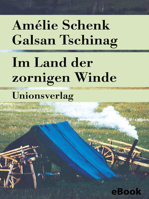 cover image of Im Land der zornigen Winde